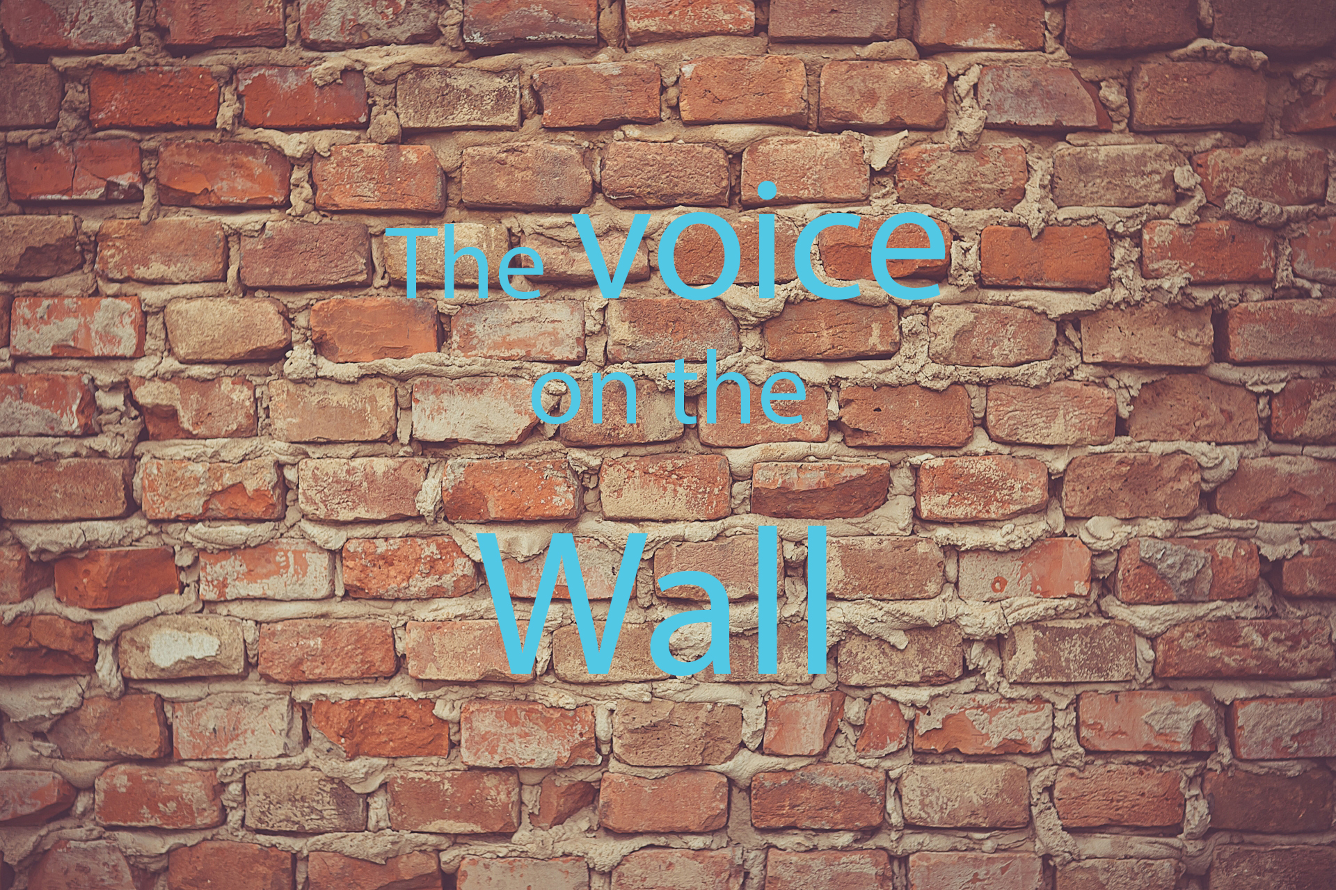 The Voice On The Wall | Leher NGO in India | Child Rights Organization
