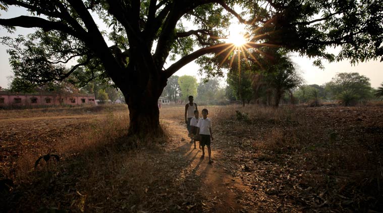 At Santemera village in the district’s Jharigam block, Banvas Majhi’s sons Durjan, 11, and Devsing, 5, are ready to go to school. But before that, they head to a nearby field to pick mahua flowers, a good source of income (Photo:Ravi Kanojia)