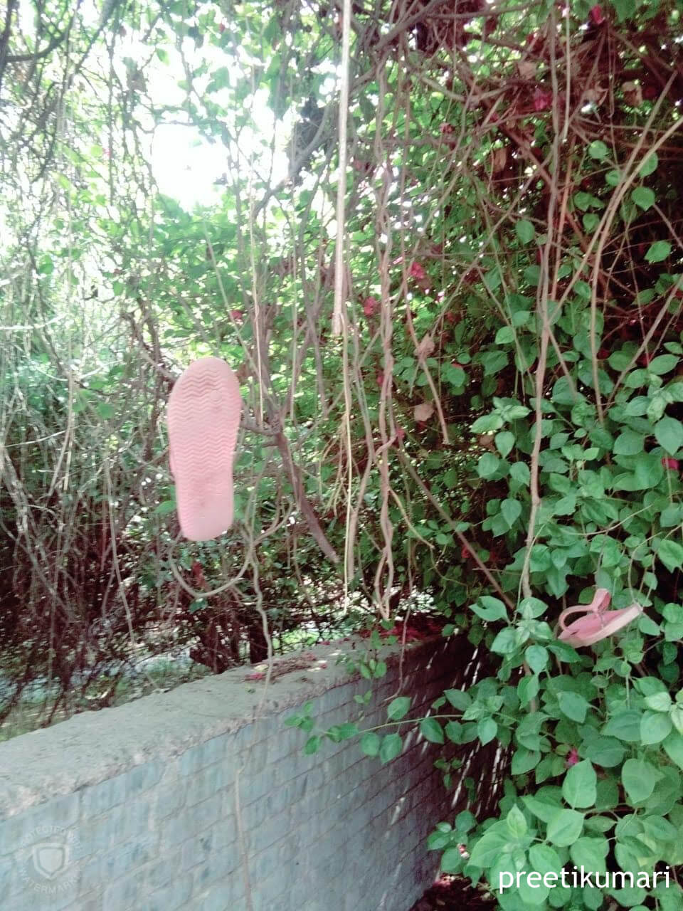 Floater hanging on a tree