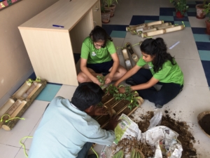 Go Vert team using bamboo to grow trees.